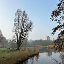 Rembrandt Park