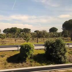 Grüne Bäume, saftige Wiesen... Der Frühling ist schon lange hier. 😍🥳🌷🌸💐