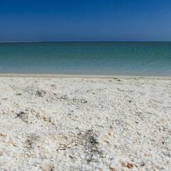 Shelly Beach