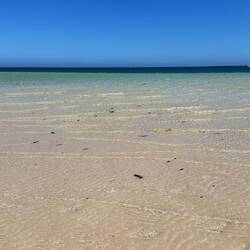 Corel Bay