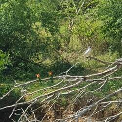 Vor allem die Vielfalt der Vogelarten ist hier atemberaubend