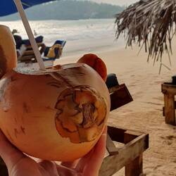 "King Coconut" so gut 😊