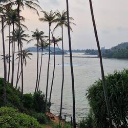 Coconut Tree Hill, Mirissa