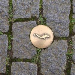 Wir folgen dem "Salamander-Weg"