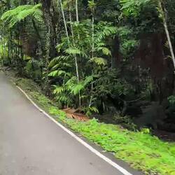 Fahrt zur Fütterung