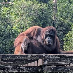 Menschen beobachten, das macht Freude