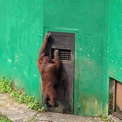 Lass mich rein, ich hab Hunger!