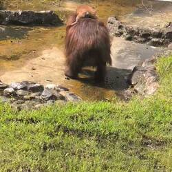 Nicht so doll wackeln!