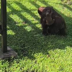 Jetzt geht's wieder rein