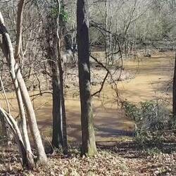 Ein schöner Fluß sieht anders aus.