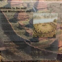 Die Nachfolger, die Lamar.