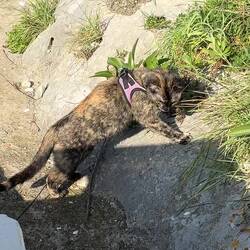 Auf Entdeckungsreise - an der Leine 😂