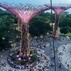 Supertrees