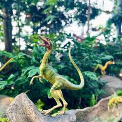 Dinosaurs 🦕 everywhere 😳