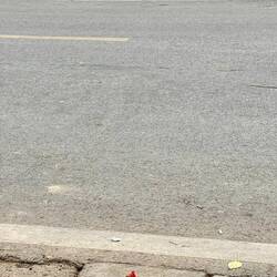 Roller und dazwischen ein Huhn