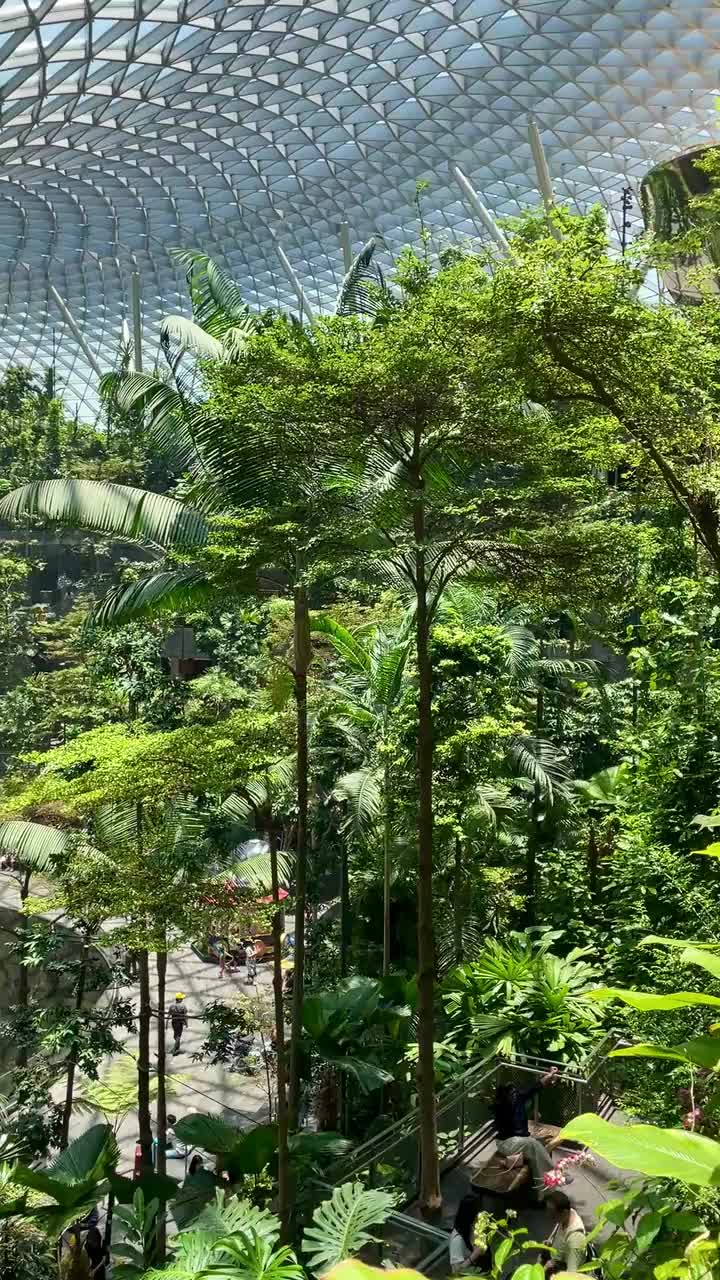 The Rain Vortex