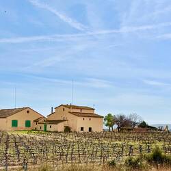 Weingüter im Penedes