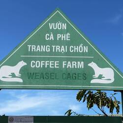 Weasel coffee nursery