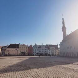 Der Marktplatz mit dem Rathaus.