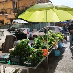 Ein entspannter Wochenmarkt
