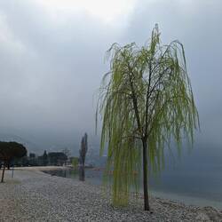 Promenade nach Torbole
