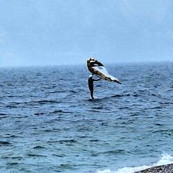 Jetzt geht's los 🏄‍♂️