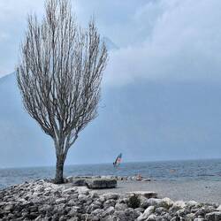Der Wind lockt die Surfer auf den See