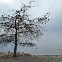 Mystische Stimmung am Gardasee