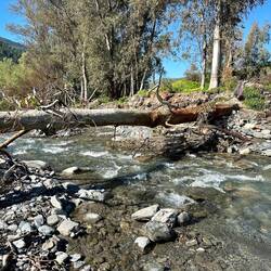 I don't think I'll be crossing the Río Chico on that!