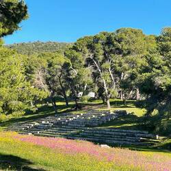 ..und überall alte Pinien ganz ohne Raupen-Nester der Prozessions-Spinnen 👍🏻