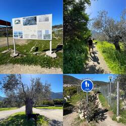 ..so wunderschön umgeben von Bergen und Meer