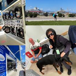 Lesley bekommt eine ausführliche Massage (von einer Amerikanerin) im Waschsalon🐾🫠Wäsche in 70min✔️🔝