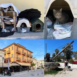 Katzen-Häuschen überall in Griechenland😻eine heimelige und coole Stadt 🤩