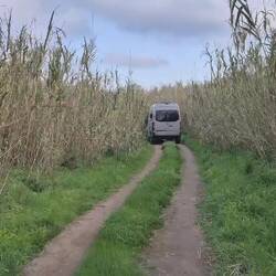 Wir geben alles bei der Stellplatz Suche... 🤣