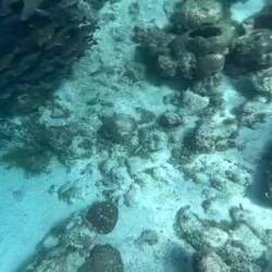 Mitgebracht hat unser Guide keinen, müssen wir Abends hungern