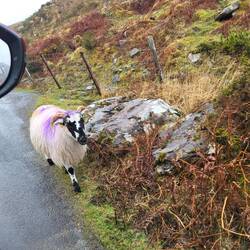 Auf dem Weg ins Black Valley