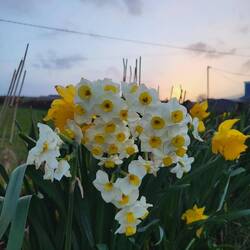 Der Frühling kommt!