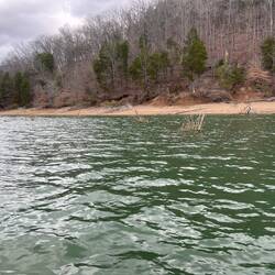 Trying out the sideview sonar on my new chartplotter. So went by these trees rather close.
