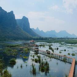Beng Bua (Thung Sam Roi Yot) freshwater marsh