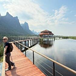 Boardwalk across the wetland
