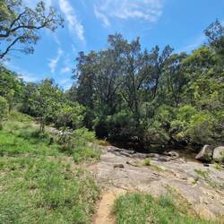 Nur 15m von unseren Zelten entfert ist der Megalong Creek