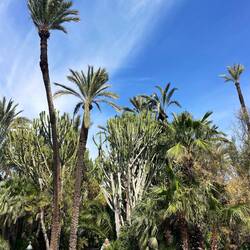 Suchbild...so klein ist der Mensch gegenüber der Natur!