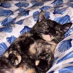 ... nach getaner Arbeit erschöpft