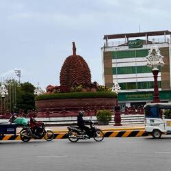 Die Durian als Kreisverkehr