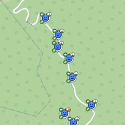 Lauter nicht gefundene Caches 😏