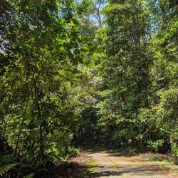 Sonne und viel Grün