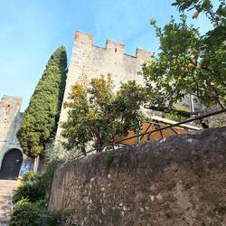 Sehr gepflegtes und gut erhaltenes Anwesen