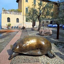 "La Grande Donna Tartaruga" (Die große Schildkrötenfrau)