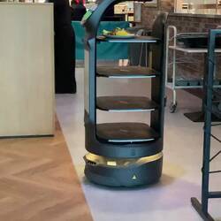 Meals delivered by polite robots identifying as cats