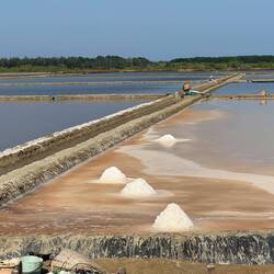 Acres and acres of salt farms glistening on either side of the road.